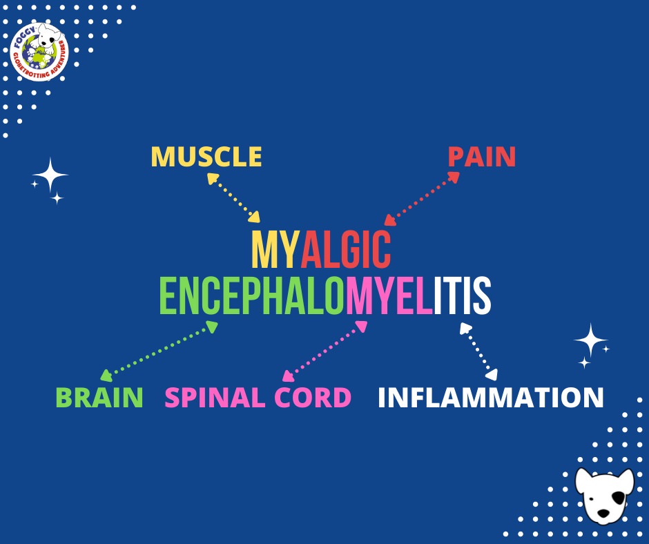 A graphic showing what the name Myalgic Encephalomyelitis means. The words are made up of other latin words meaning muscle, pain, brain, spinal cord and inflamation.